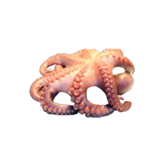 Pulpo