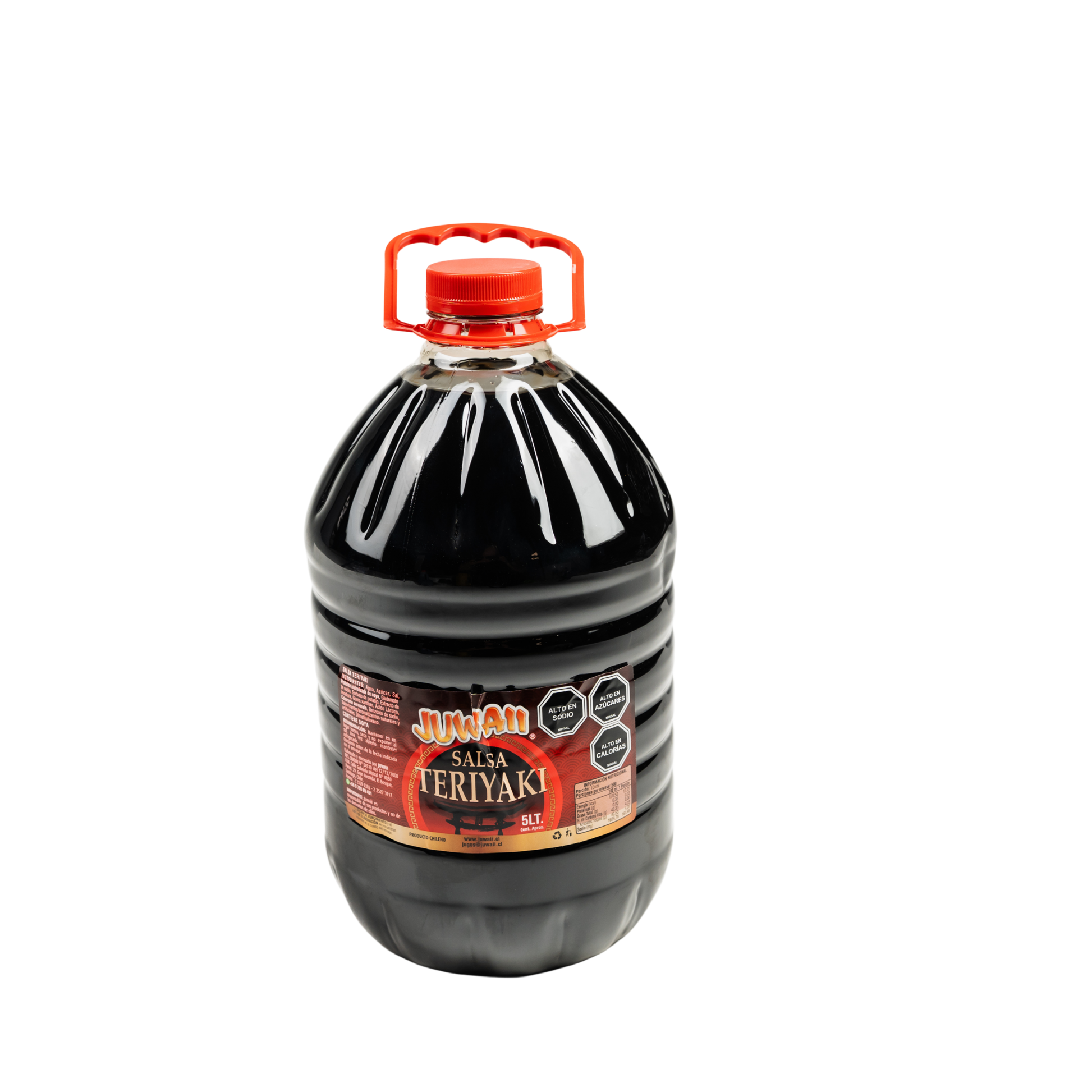 Salsa Teriyaki 
